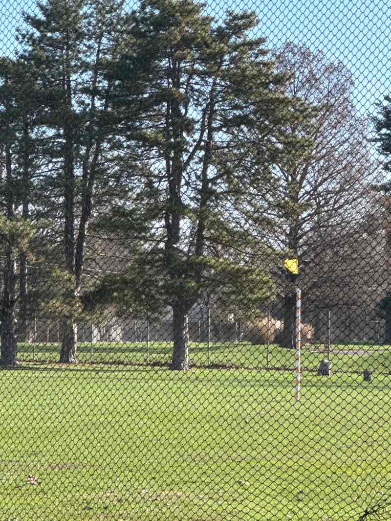 walking near me in William S. Sahm Park in spring