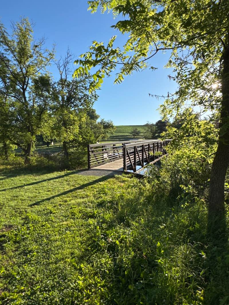 walking near me in Arrowhead County Park in summer