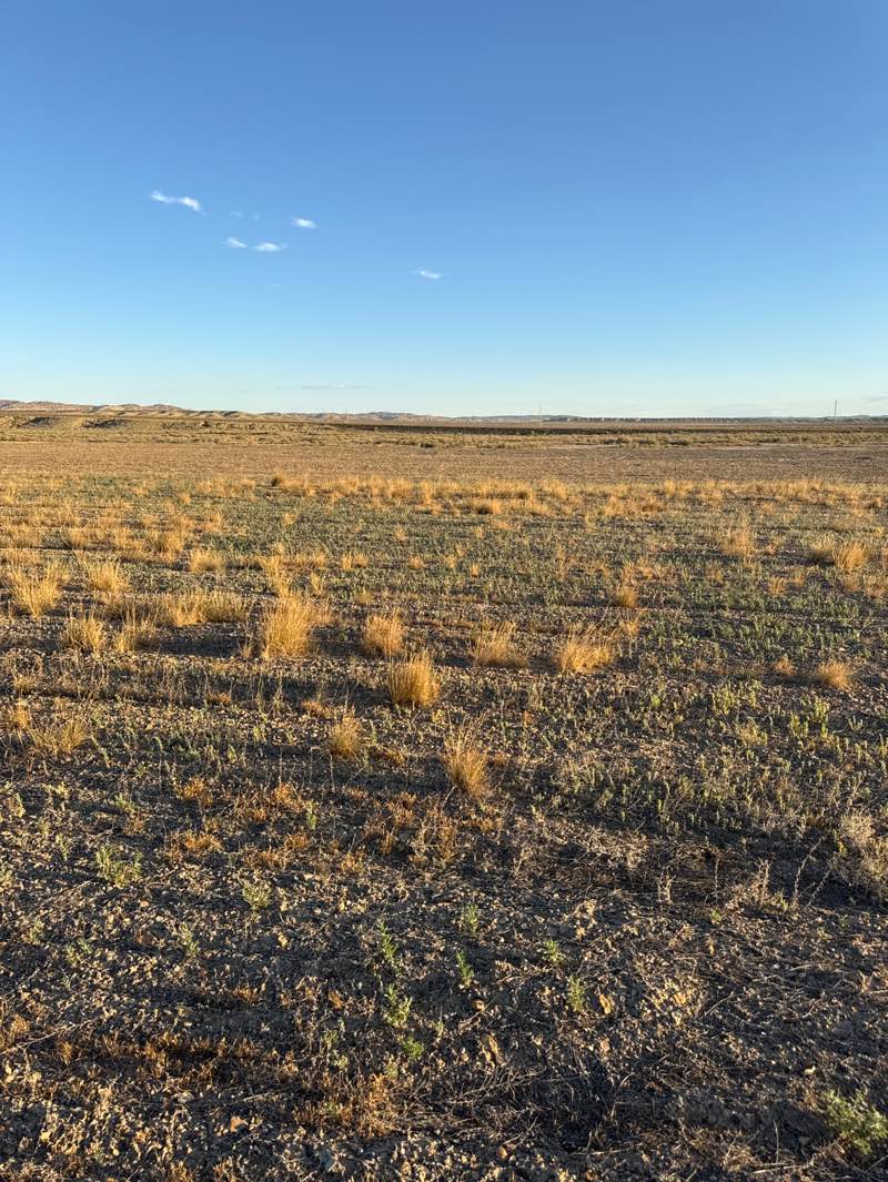 walking near me in Sweetwater County R/C Field in summer
