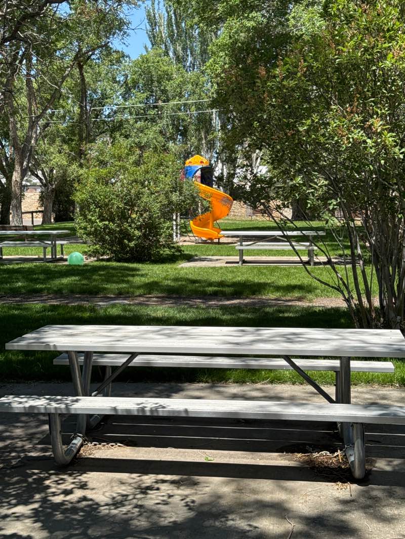 walking near me in Pearl Park in summer