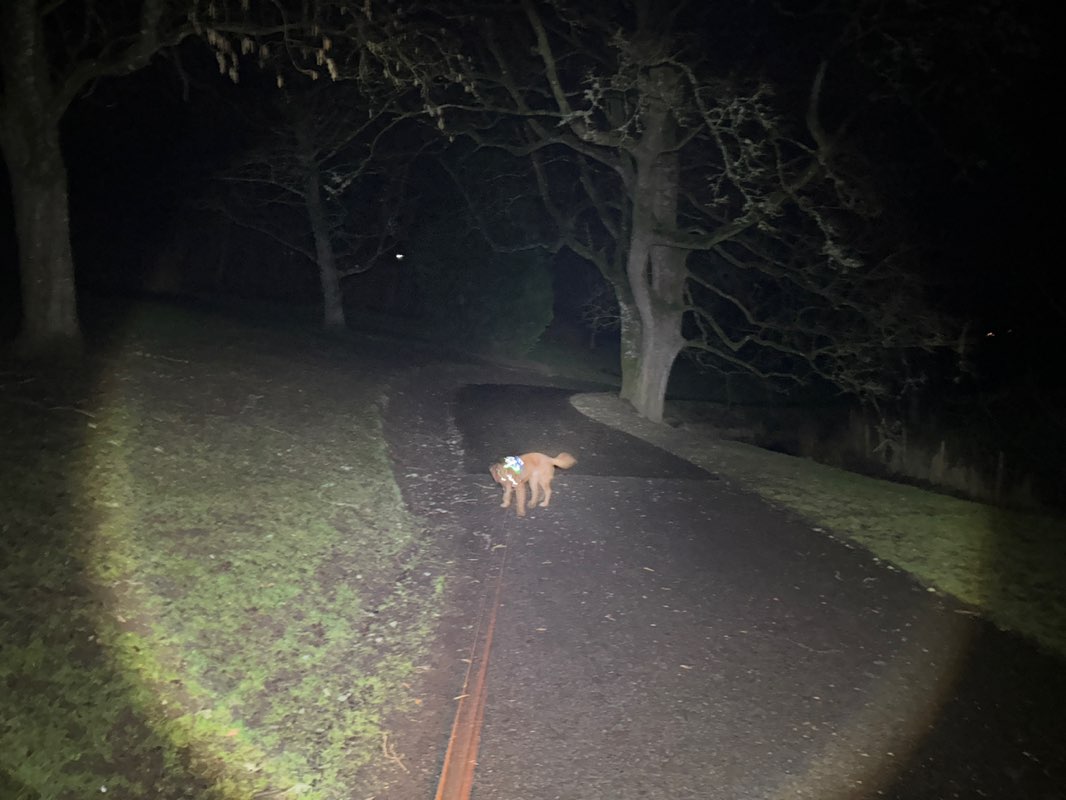 walking near me in The Den in winter