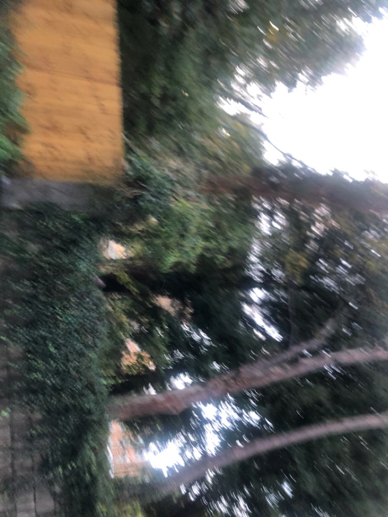 walking near me in Mincinglake Valley Park in winter