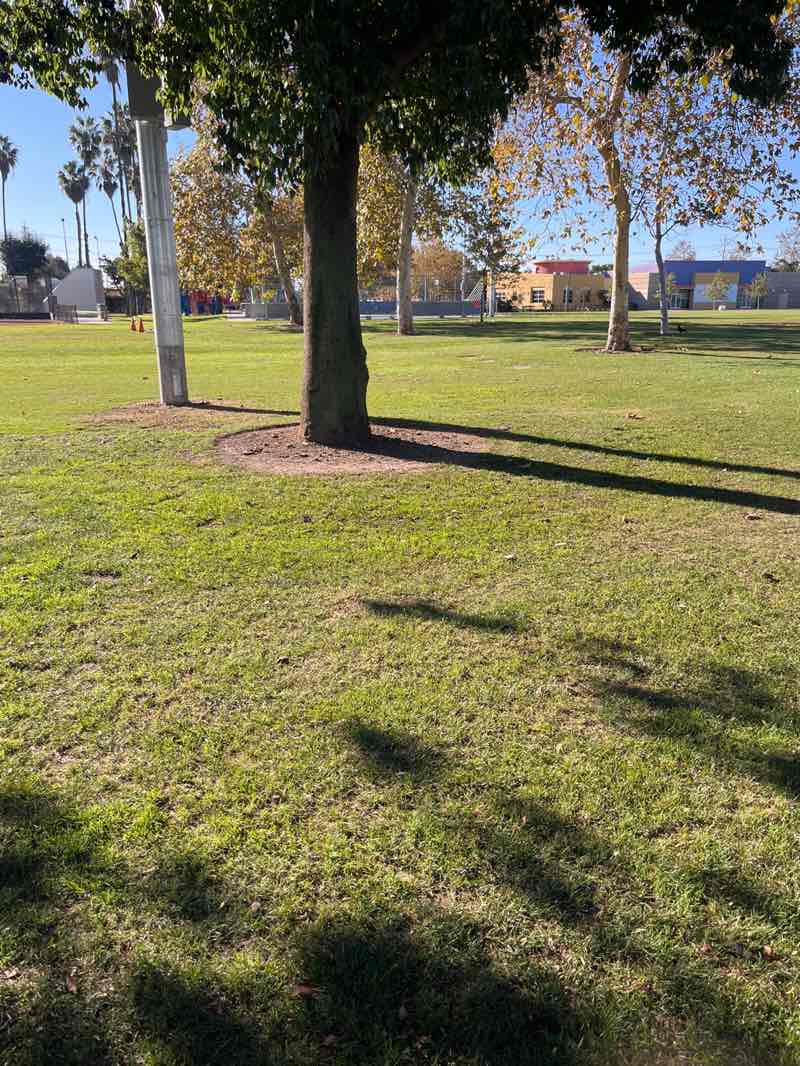 walking near me in Delhi Park in winter
