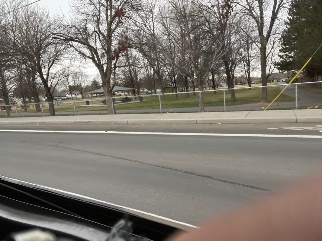 walking near me in Quince Park in spring