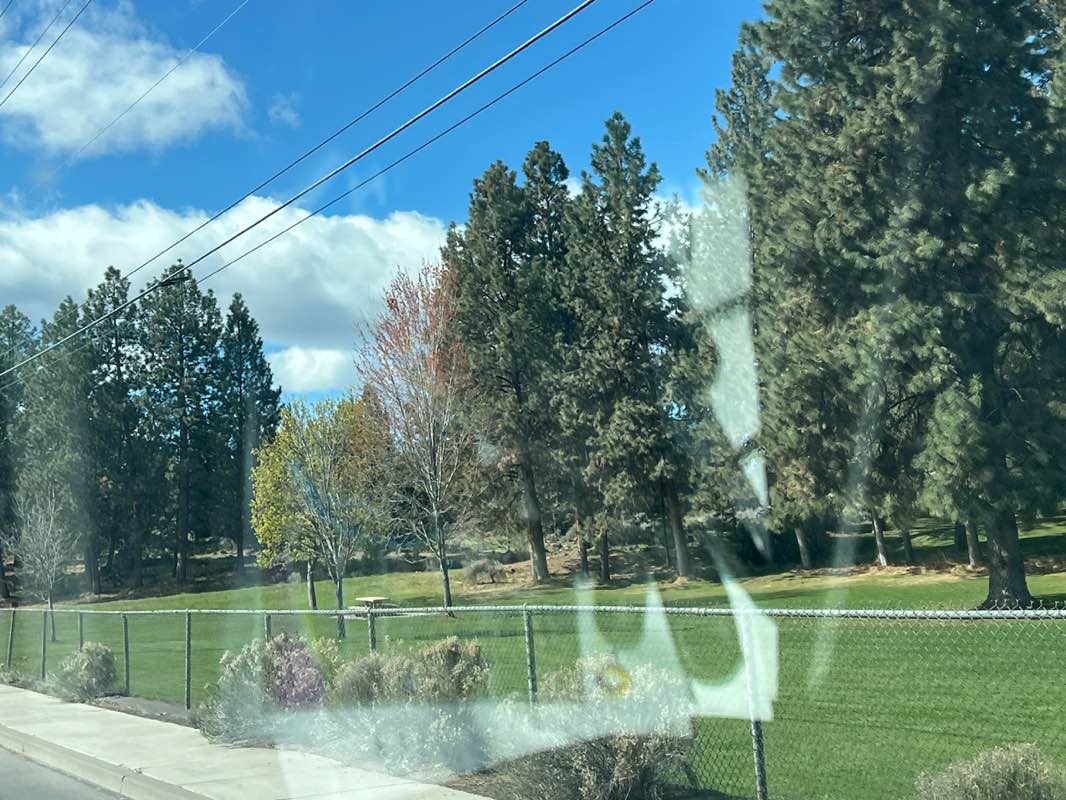 walking near me in Ponderosa Park in spring