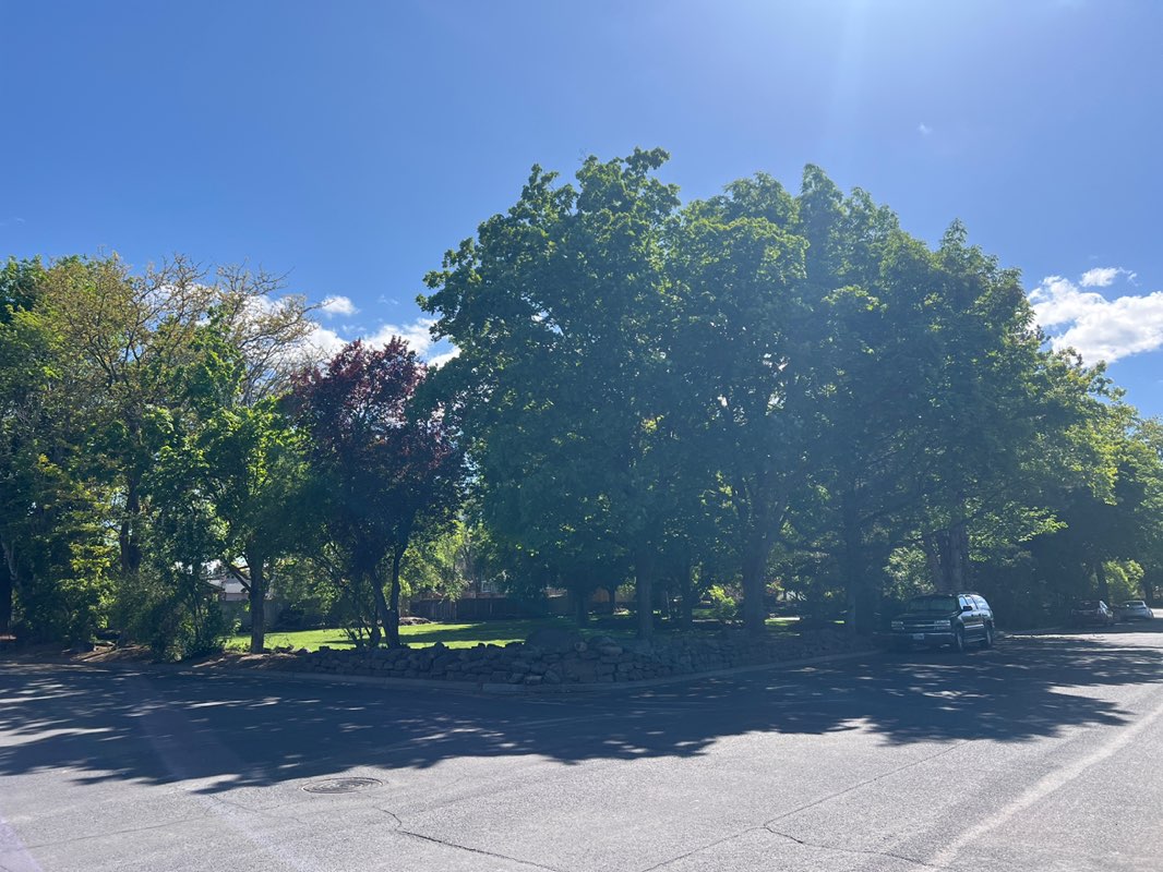 walking near me in Stack Park in summer
