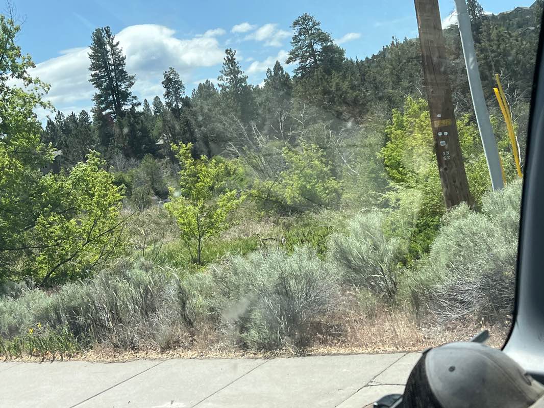 walking near me in Sawyer Park in summer