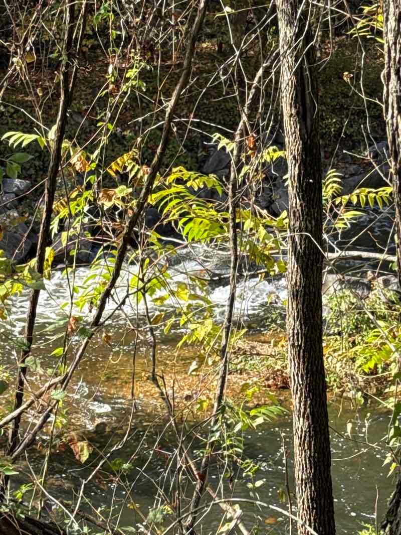walking near me in Ben Brenman Park in autumn
