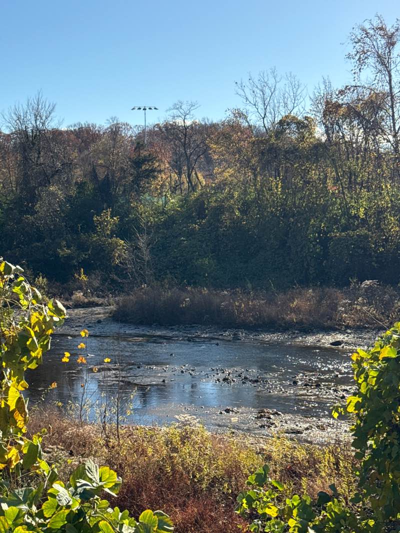 walking near me in Cameron Run Regional Park in autumn