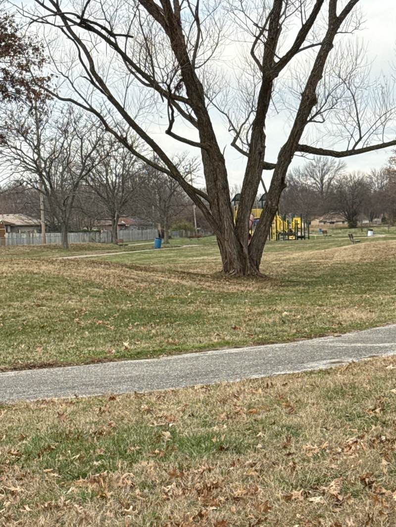 walking near me in Champion Park in winter