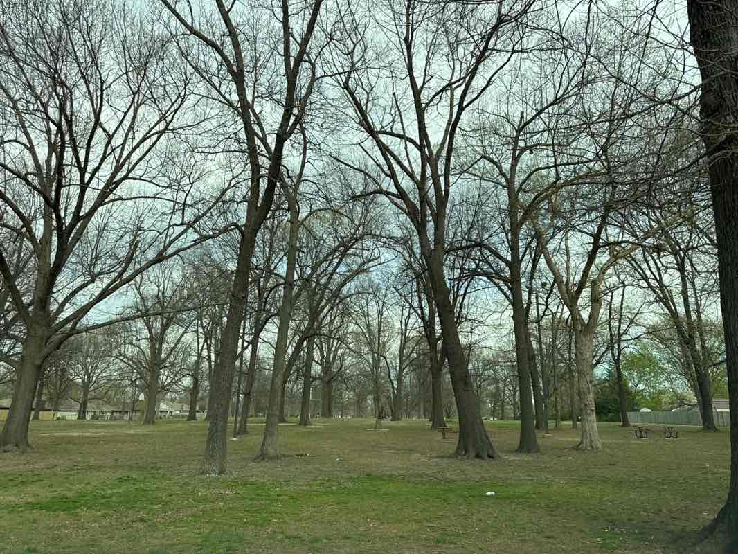 walking near me in Oak Grove Park in spring