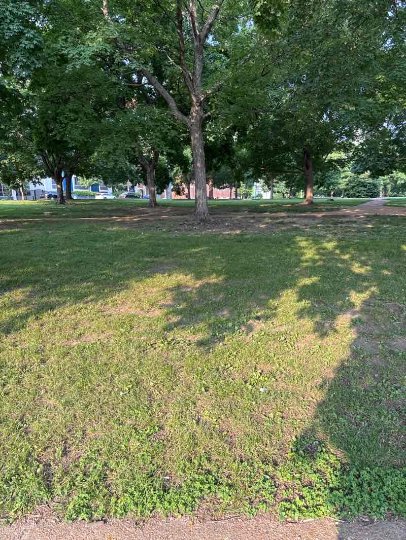 walking near me in Memorial Plaza Parks in summer