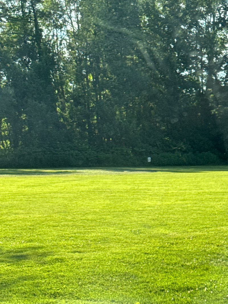 walking near me in Lower Village Park in summer