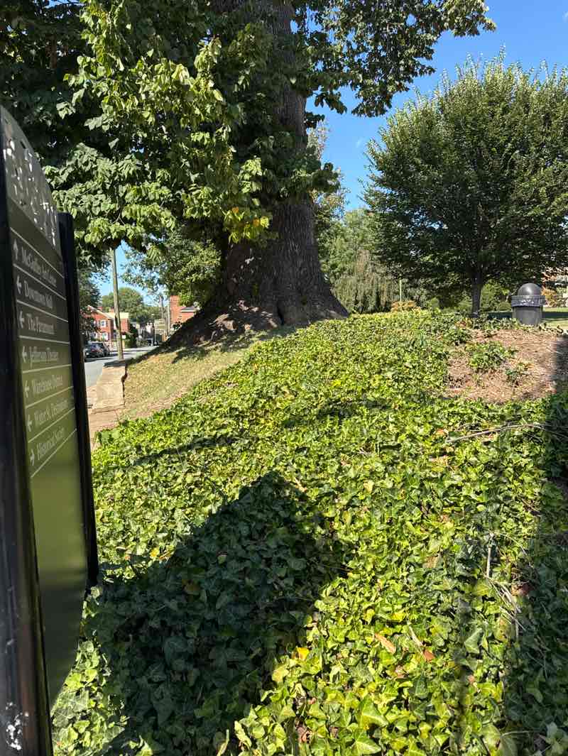 walking near me in Market Street Park in autumn