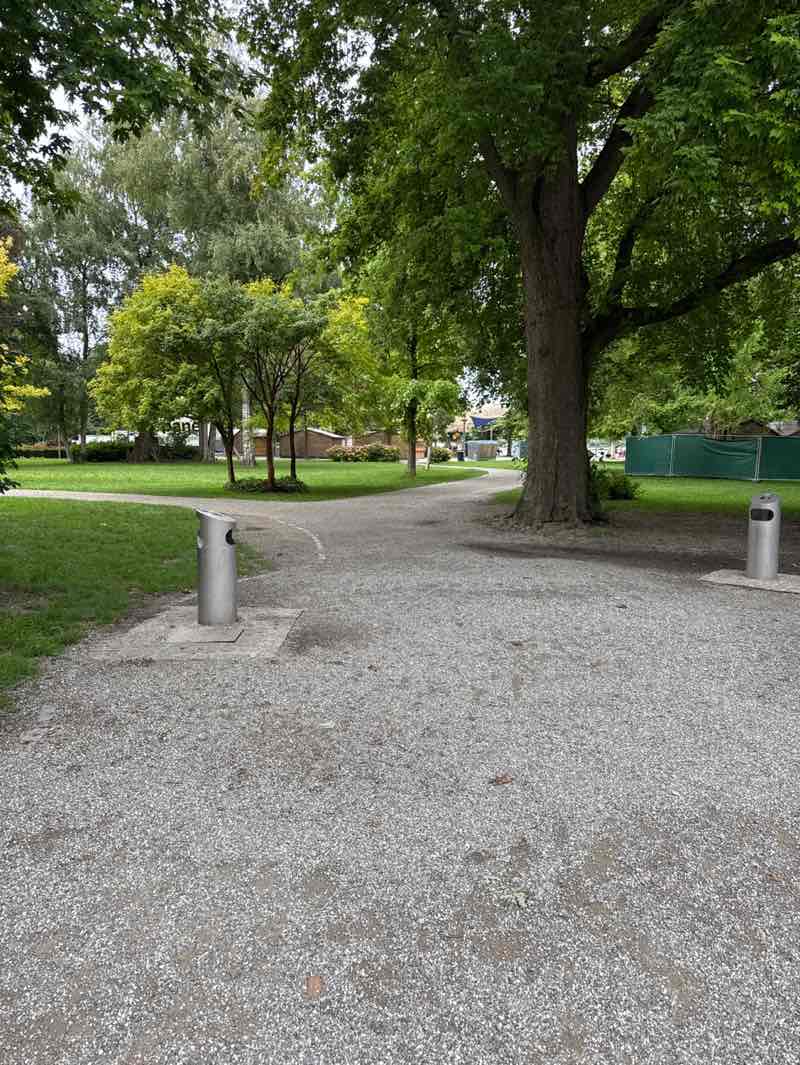 walking near me in Stadtgarten in autumn