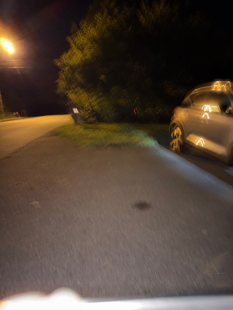walking near me in Meadow Creek Valley in autumn