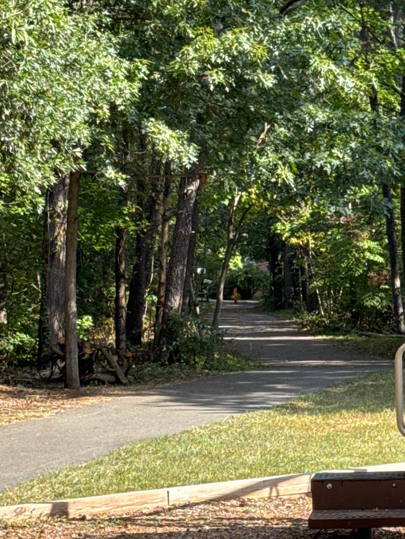 walking near me in Springfield Forest Park in autumn