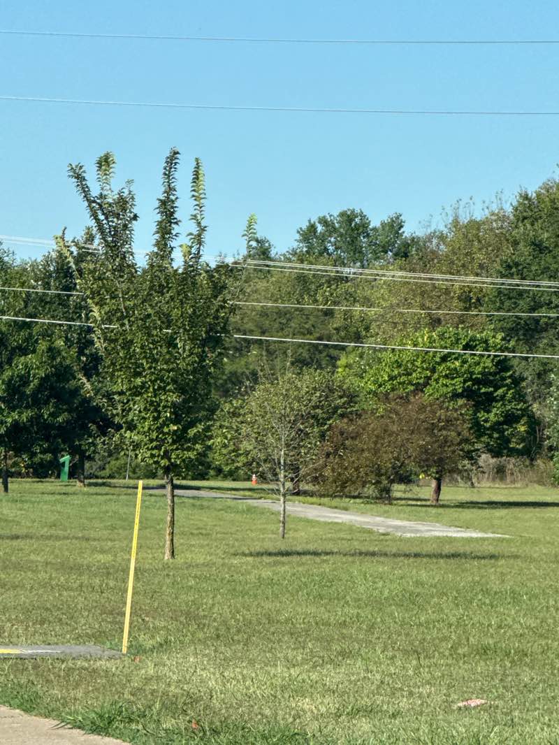 walking near me in McDaniel Park in autumn