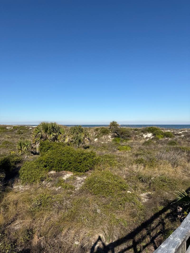 walking near me in Frank Butler Park East in winter
