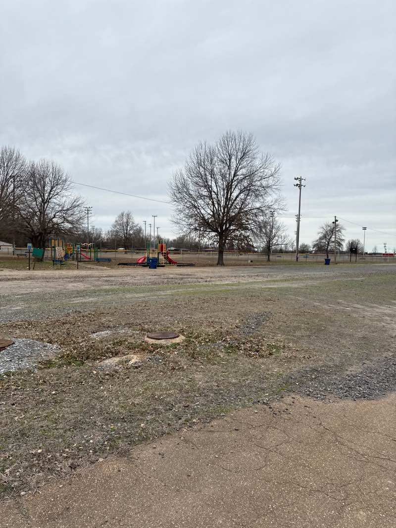 walking near me in Brinkley City Park in winter