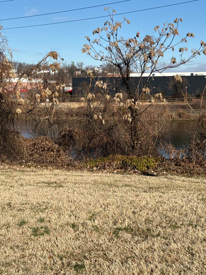 walking near me in Four Mile Run Park in winter
