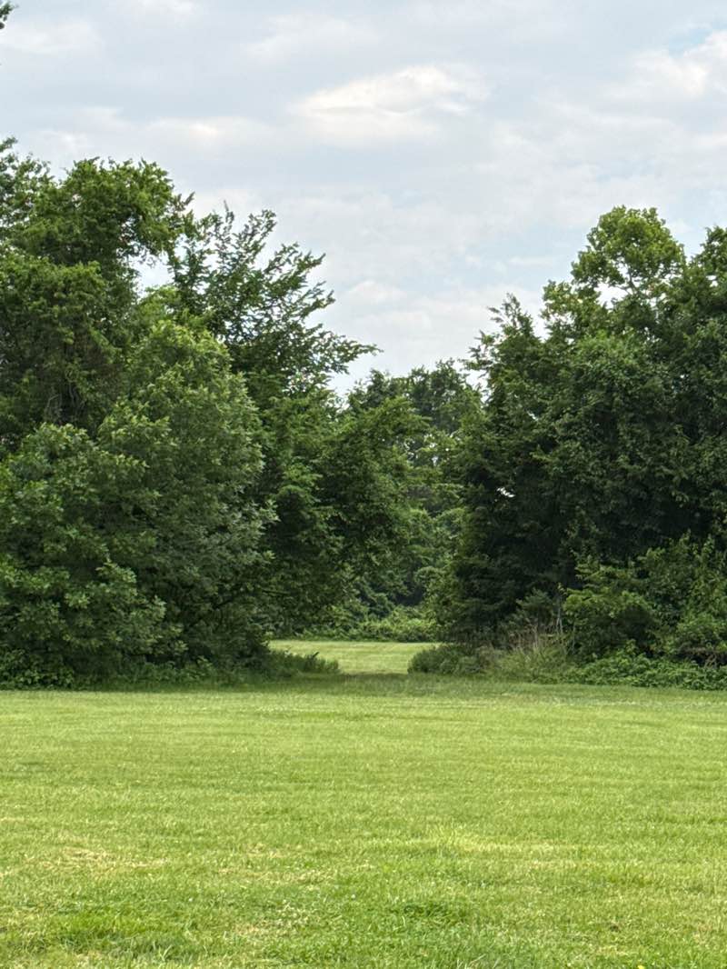 walking near me in McDaniel Park in summer