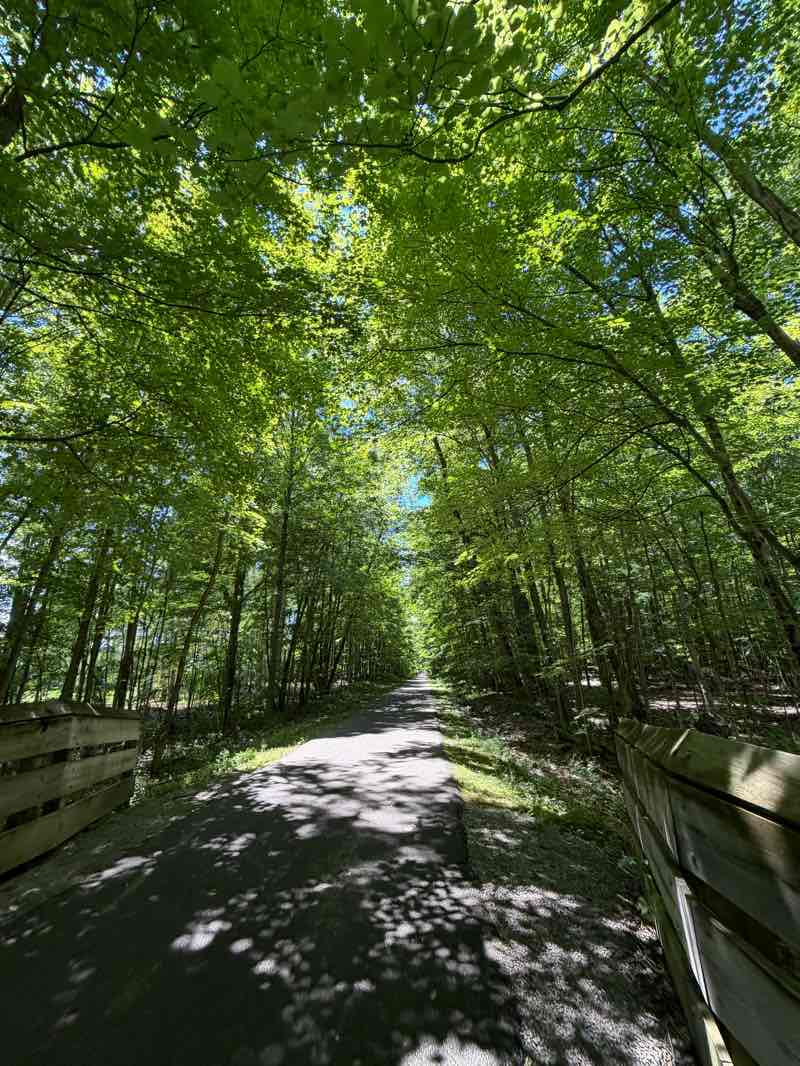 walking near me in Millcreek Metropark bike trail in summer