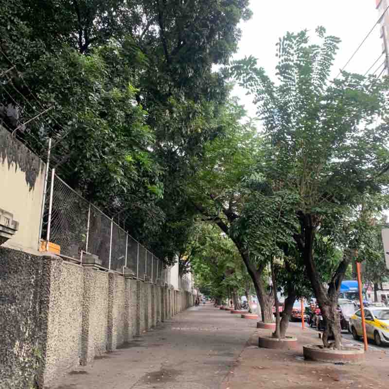 Mary Samantha post 1