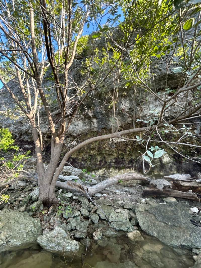 walking near me in Cedar Breaks Park in autumn