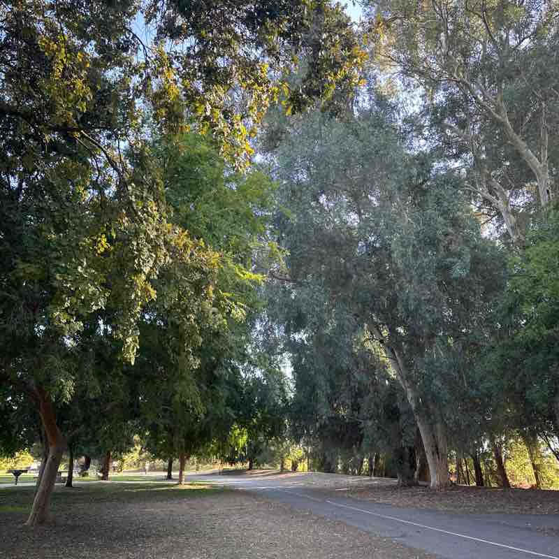 Peter Vilayvanh post 1