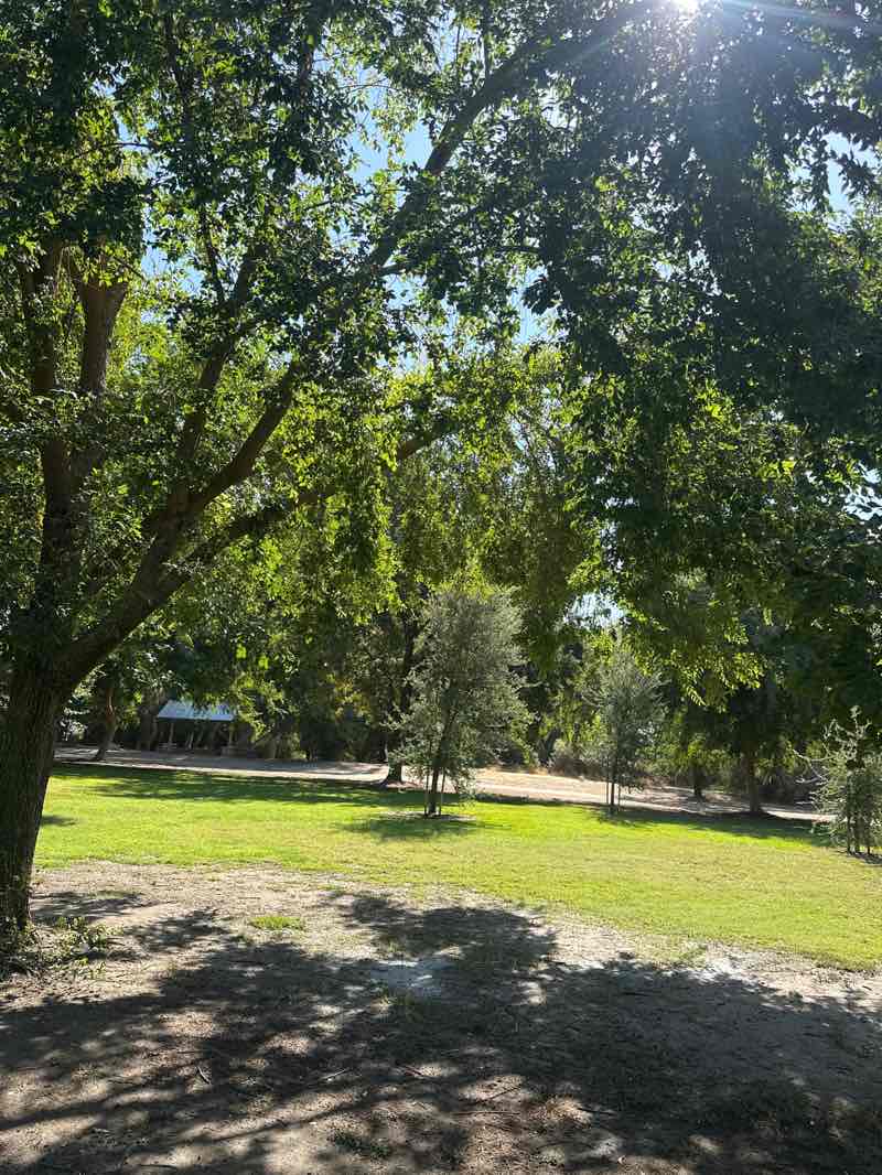 walking near me in Dry Creek Park in autumn