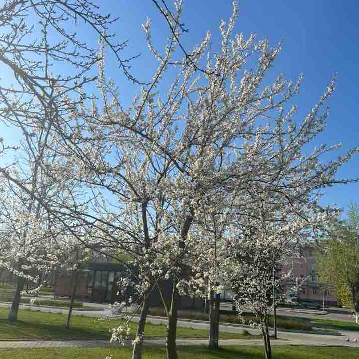 Алиса Рязанцева Ступино🧡 post 3