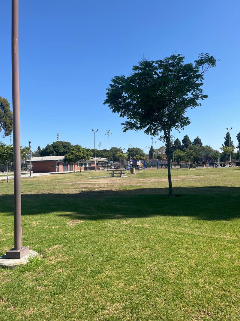 walking near me in Ruth R. Caruthers Park in autumn