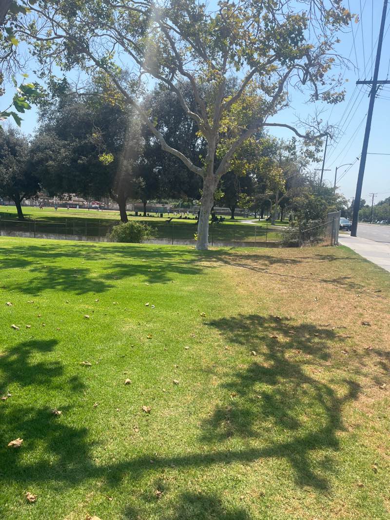 walking near me in Heartwell Park in summer