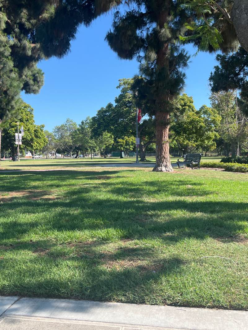 walking near me in Rosie the Riveter Park in autumn