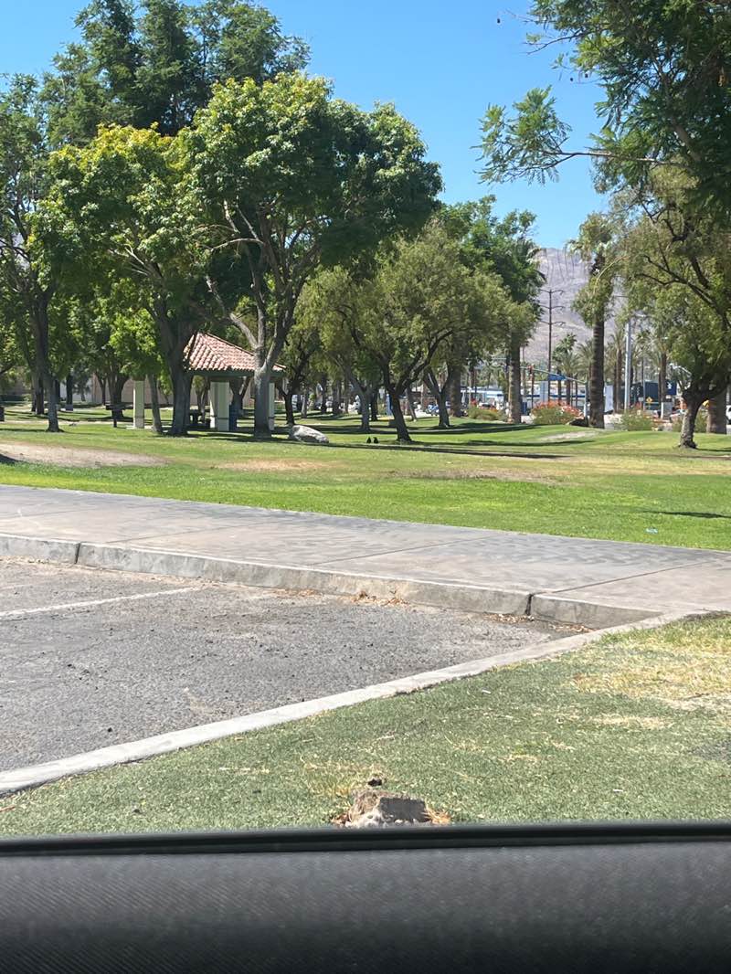 walking near me in Patriot Park in autumn