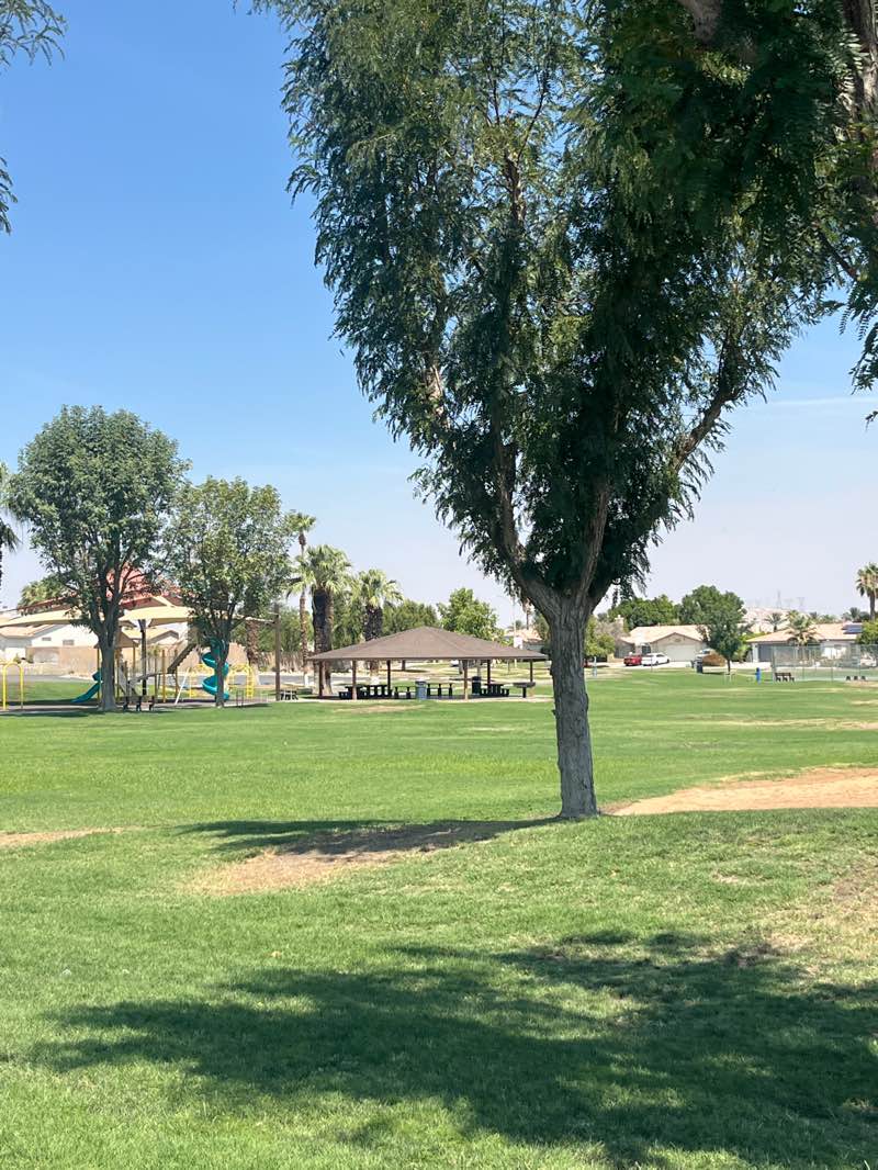 walking near me in Century Park in autumn