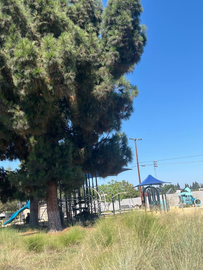 walking near me in Pacific Drive Park in autumn