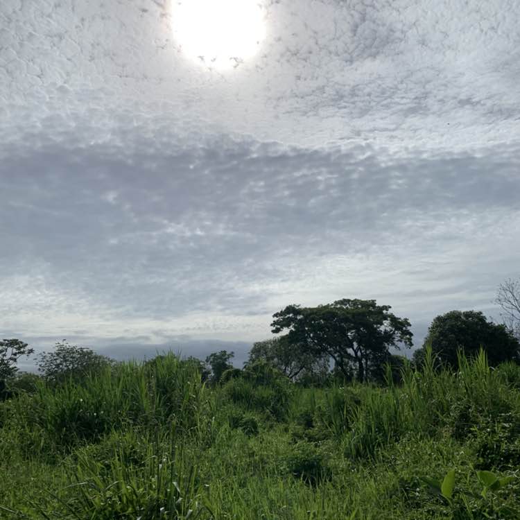 Diana Landero post 2