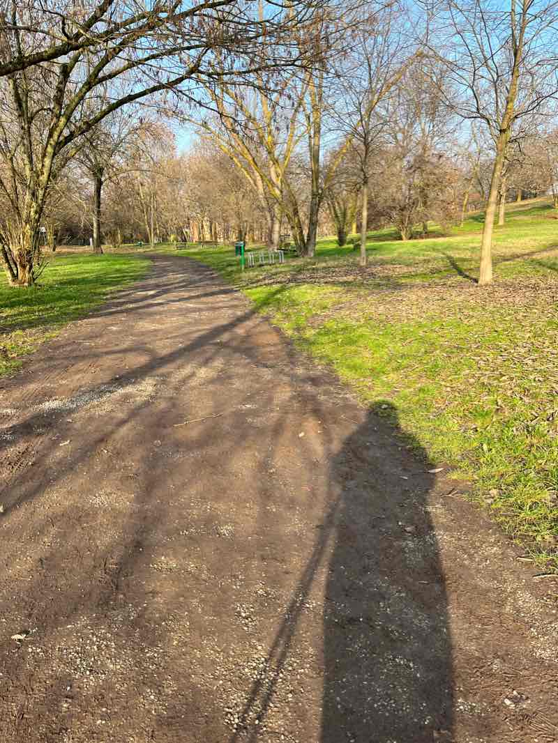 walking near me in Parco Enzo Ferrari in winter