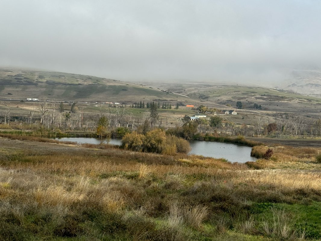 walking near me in Scenic Park in winter