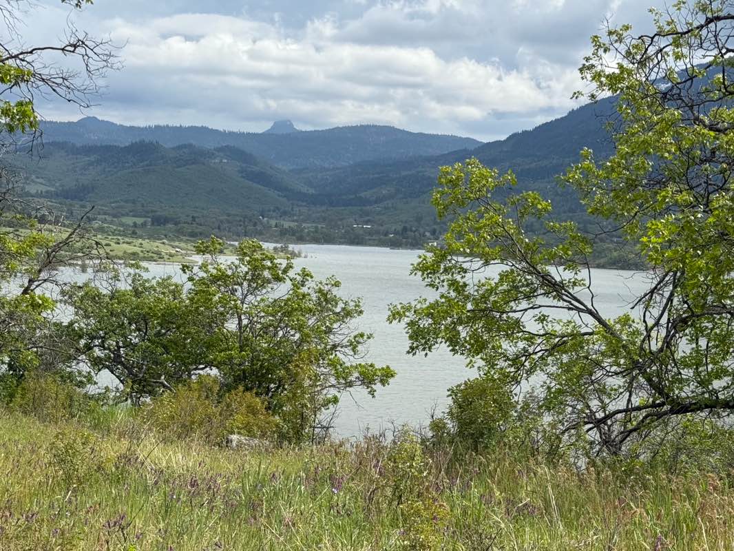 walking near me in Emigrant Lake County Park in spring