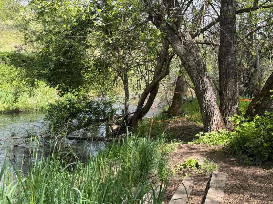 walking near me in North Mountain Park in spring