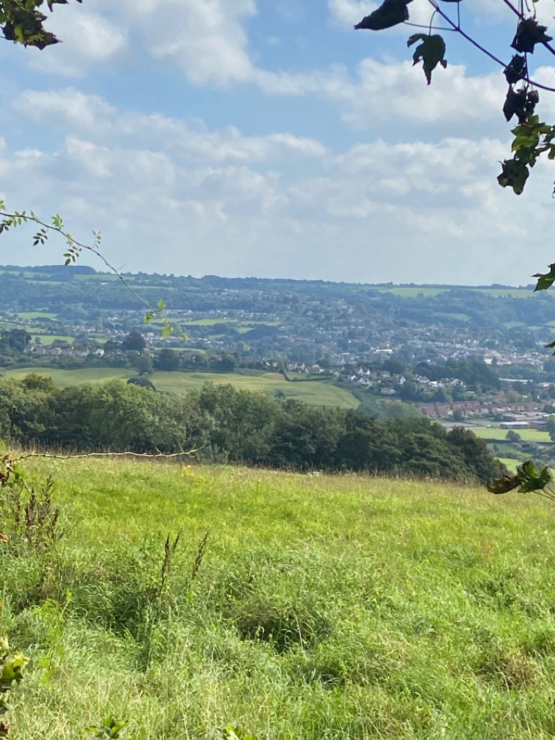 walking near me in Cotswold Commons and Beechwoods in winter