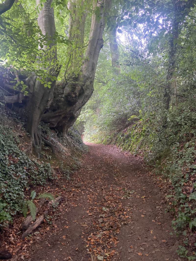 walking near me in Queen Elizabeth II Playing Field in winter