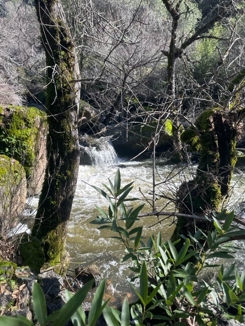 walking near me in Marshall Gold Discovery State Historic Park in winter