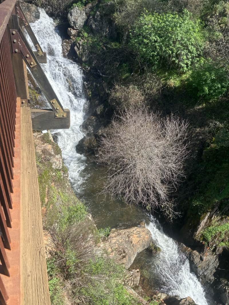 walking near me in Hidden Falls Regional Park in spring
