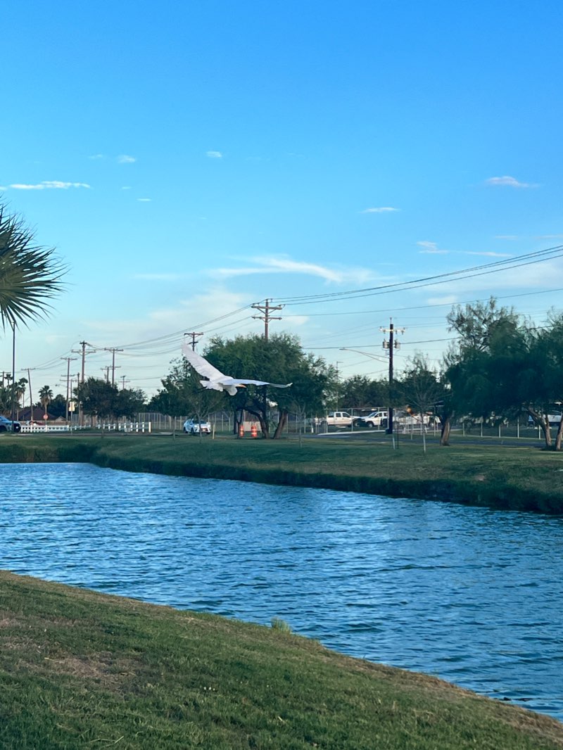 walking near me in McAllen Youth Baseball Complex in winter