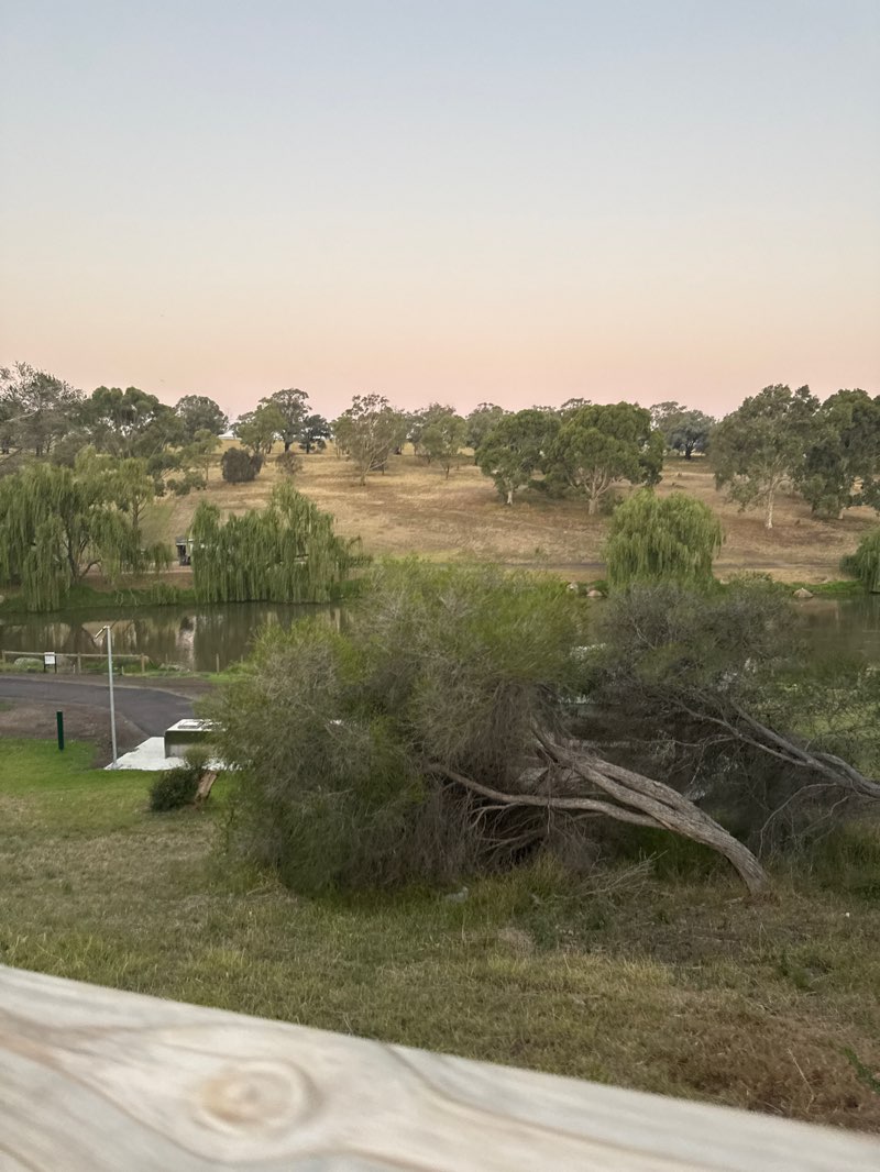 walking near me in Greenvale Reservoir Park in summer