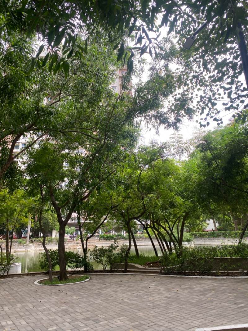 walking near me in Opaline Woods Park in summer